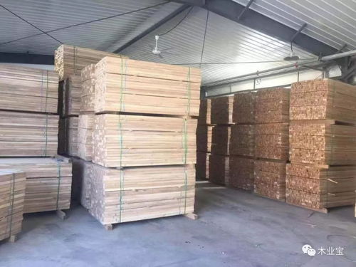 跳楼价促销 俄罗斯桦木材规格料加工生产 24 47 2米